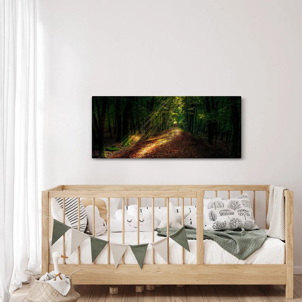 Tablou cu poteca prin pădure (120x50 cm)