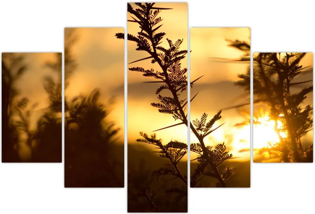 Tablou - Apus de soare (150x105 cm)