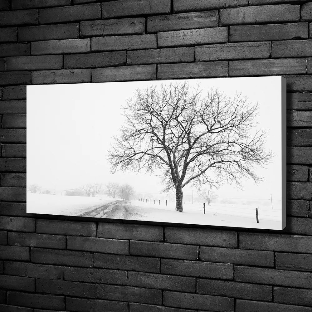 Tablou pe pânză canvas Copac în timpul iernii