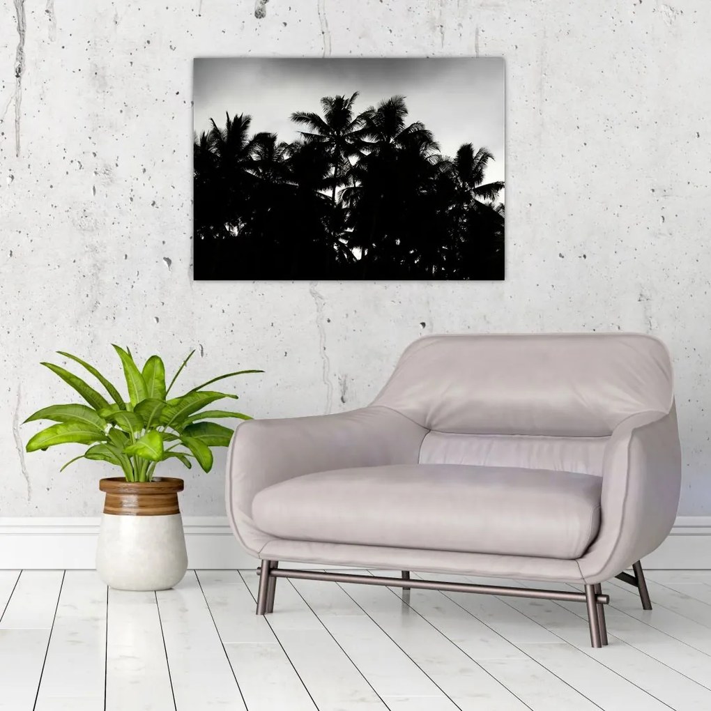 Tablou alb negru - palmieri (70x50 cm)