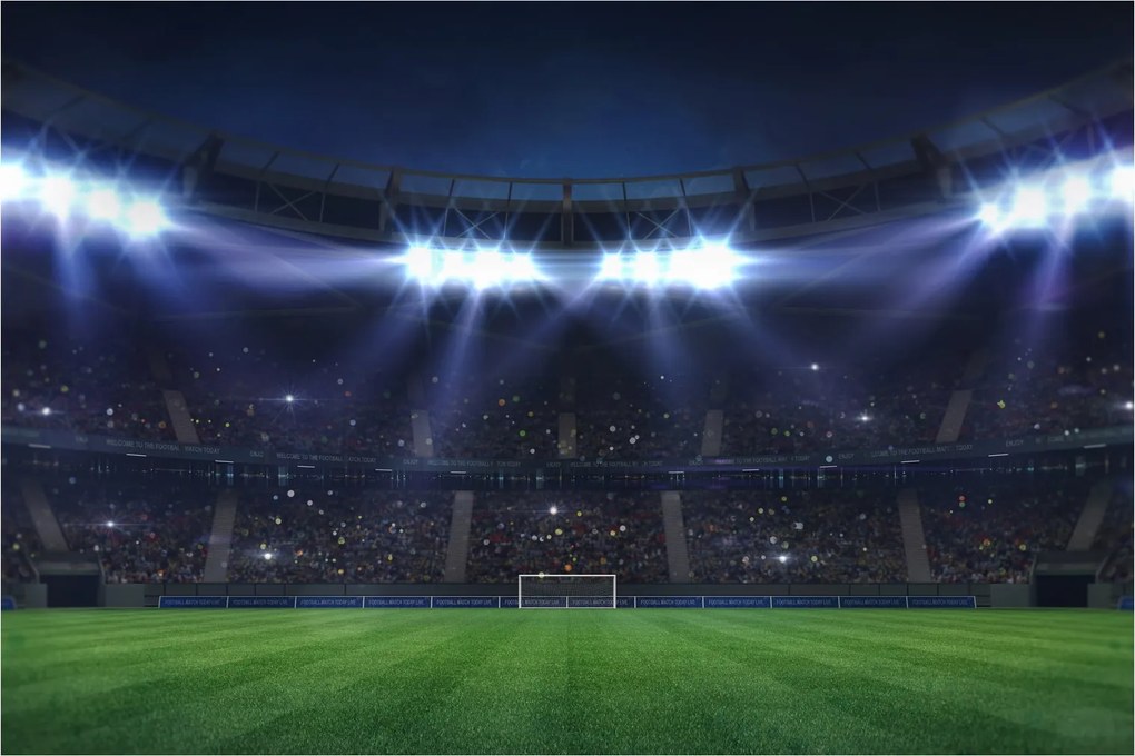 Tablou - Stadion de fotbal (90x60 cm)