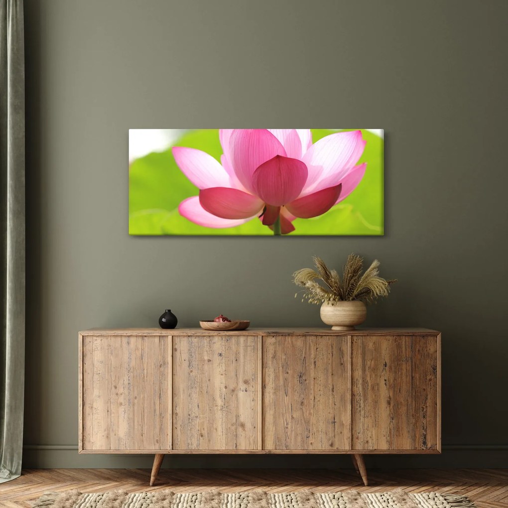 Tablou cu flori de lotus (120x50 cm)