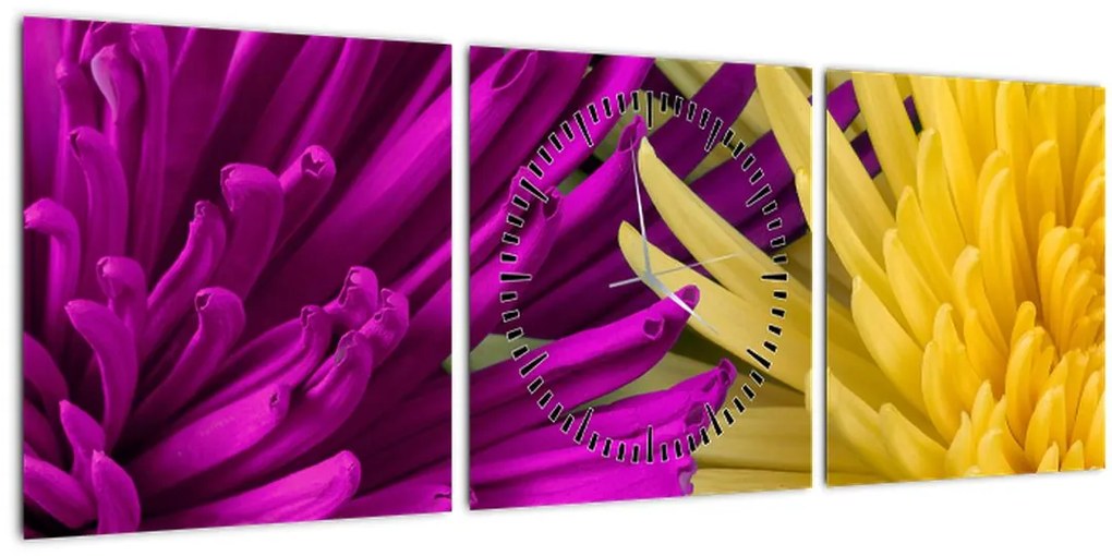 Tablou - detailu cu flori (cu ceas) (90x30 cm)