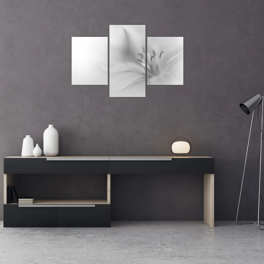 Tablou - Crin delicat (90x60 cm)