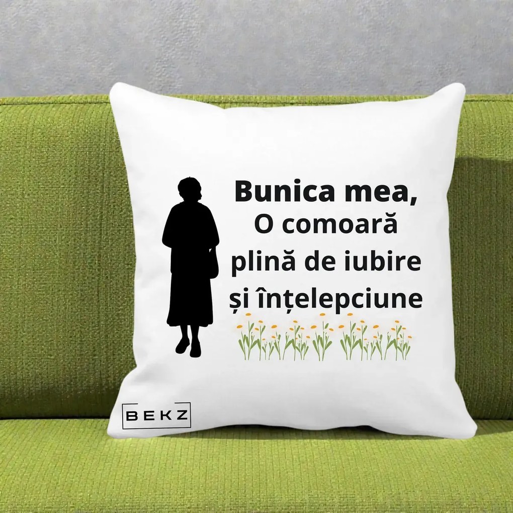 Cadou pentru Bunica - Perna Personalizata Bunica Mea Comoara Iubire Intelepciune Silueta cu Nepoata, 40x40 cm, Alba Mata, Husa Detasabila, Perna Inclusa, BEKZ®