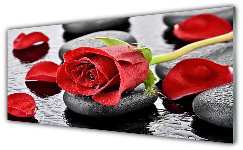 Tablouri acrilice Rose pietre Floral Roșu Gri