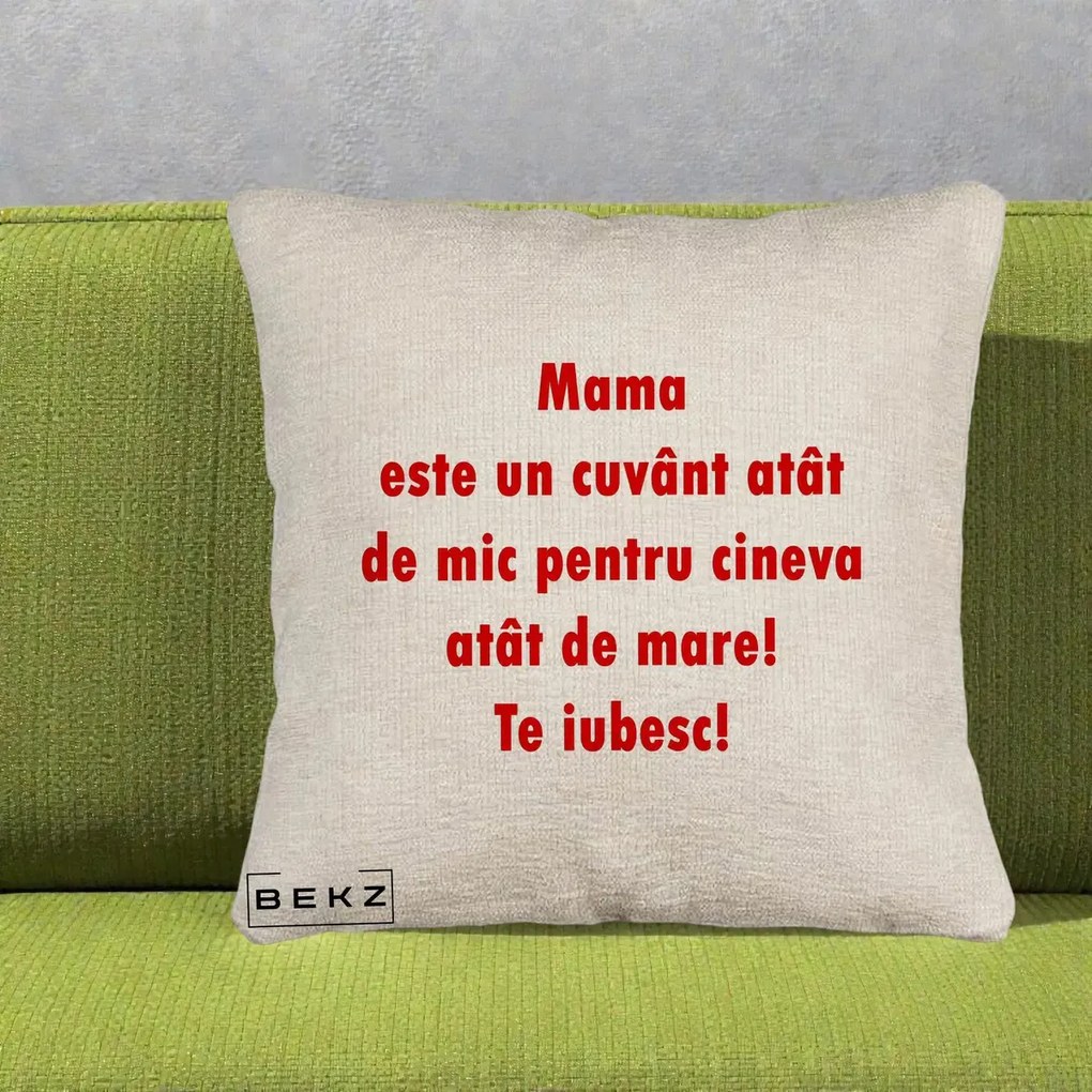 Cadou pentru Mama - Perna Personalizata Mama Cuvant Mic, 40x40 cm, Bej Canapea, Husa Detasabila, Perna Inclusa, BEKZ®