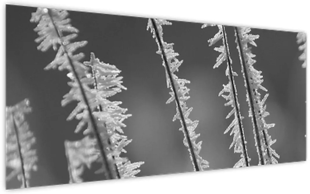 Tablou - Frig de îngheț (120x50 cm)