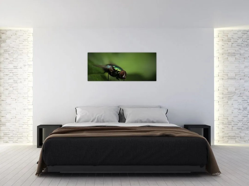Tablou - Musca (120x50 cm)