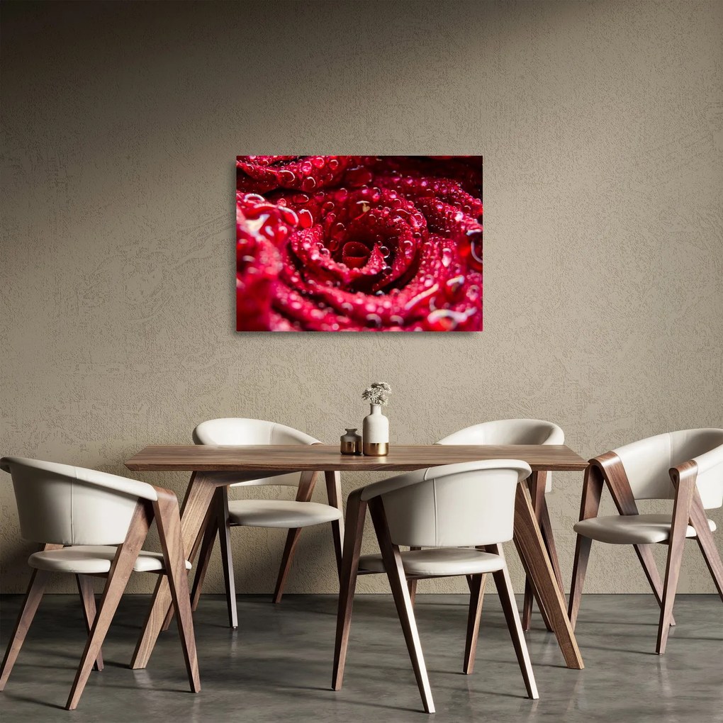 Tablou pe sticlă cu floarea trandafirului roșu (70x50 cm)