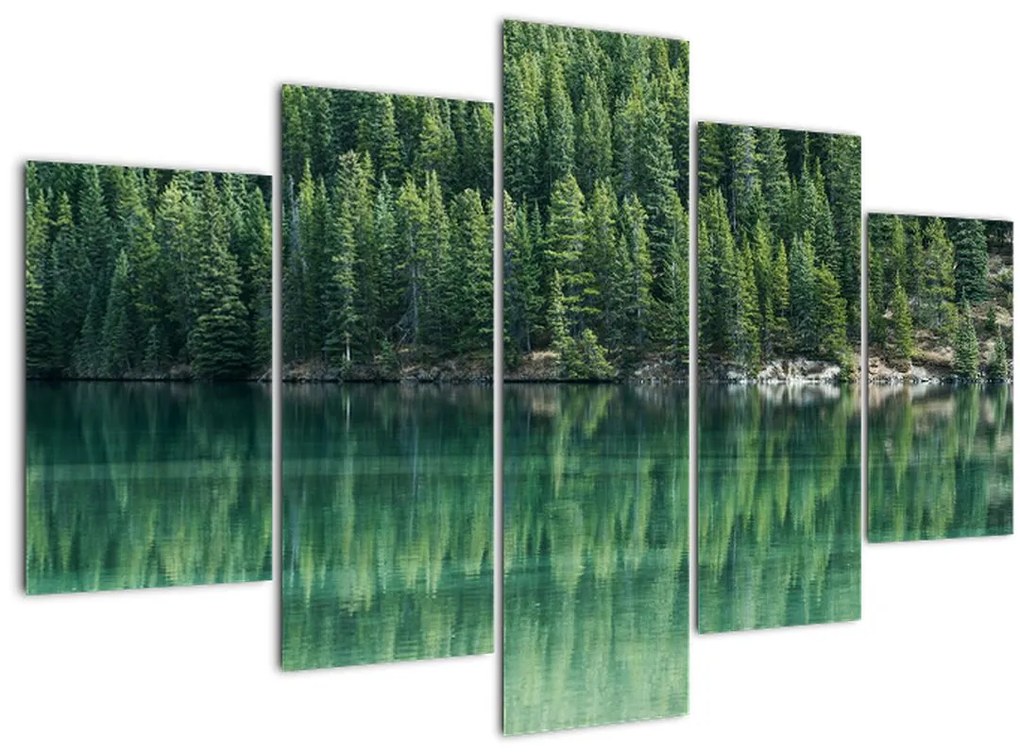 Tablou - Coniferi lângă lac (150x105 cm)