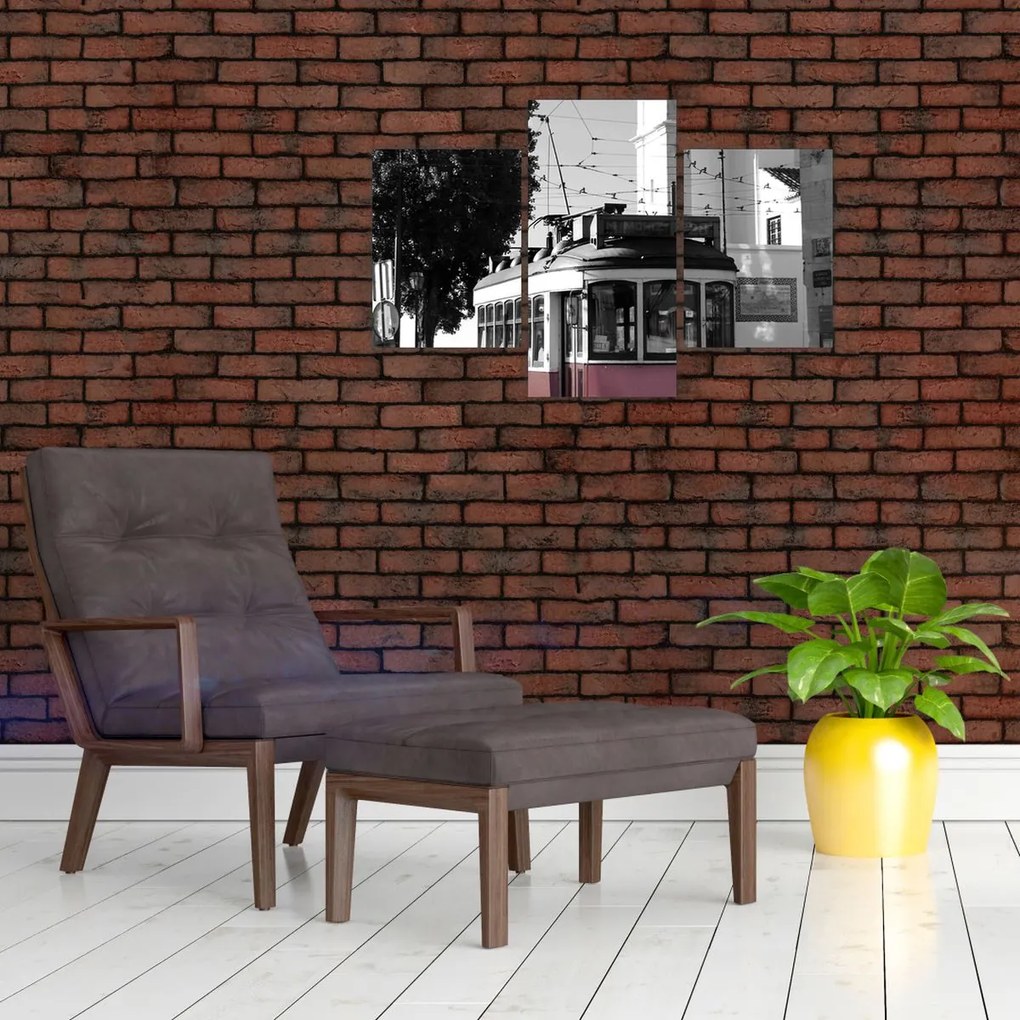 Tablou - Tramvaiul (90x60 cm)