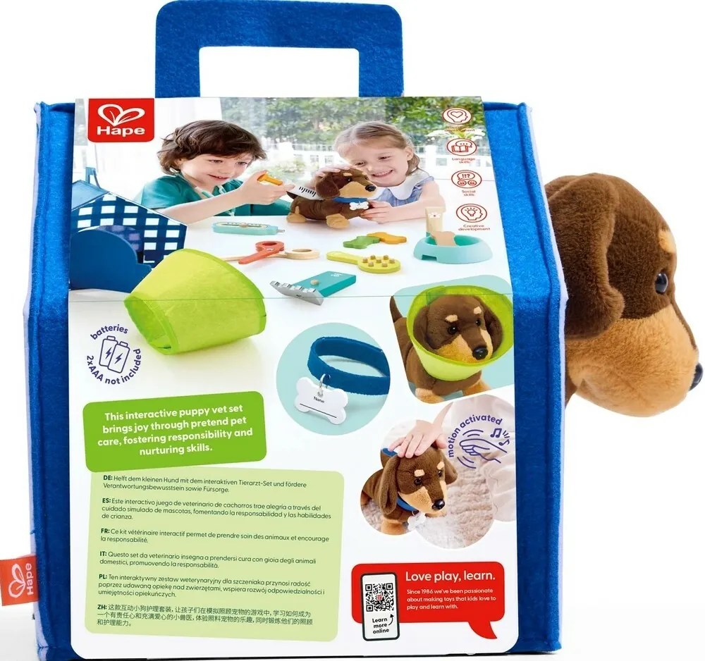 Set de veterinar - îngrijirea cățelușului Hape