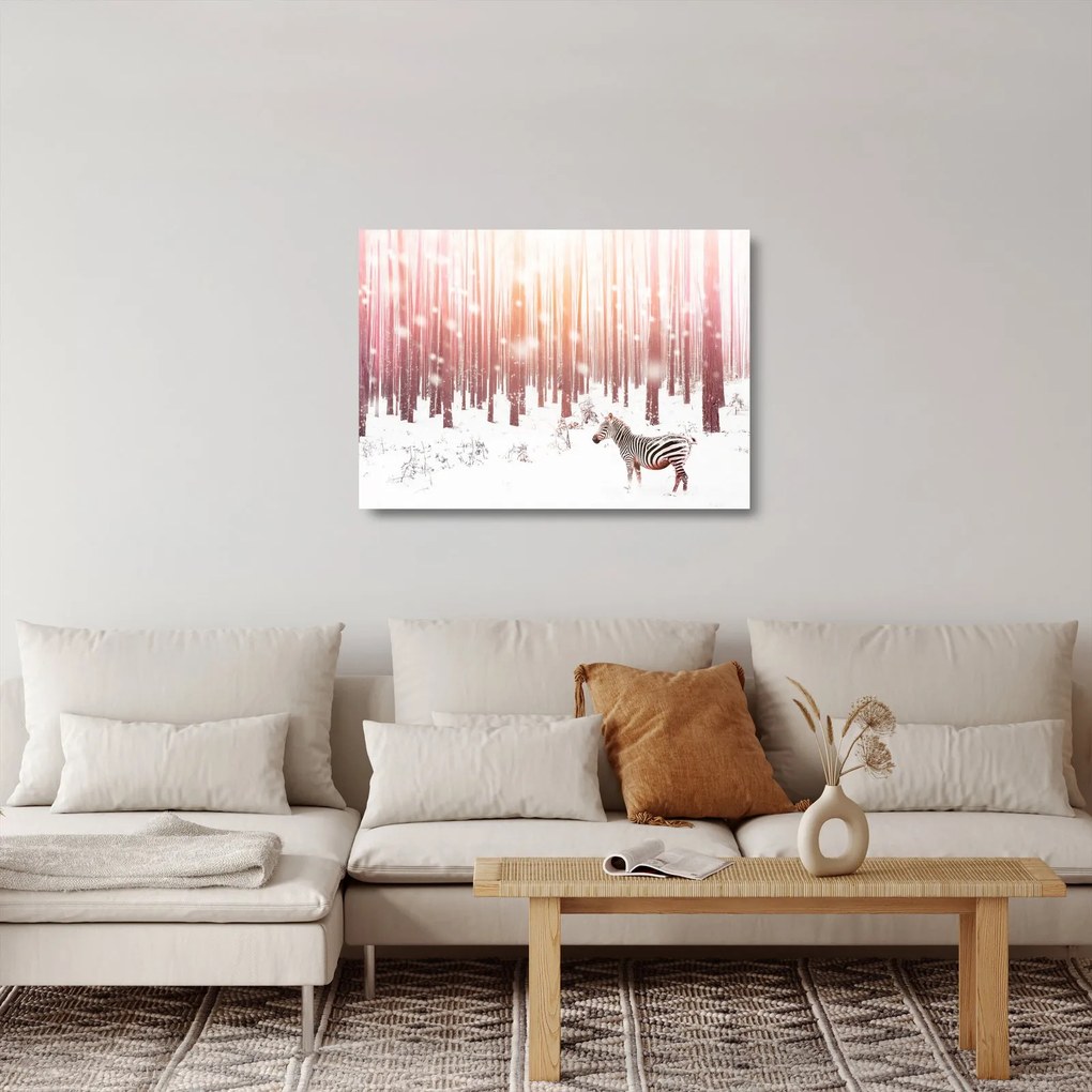 Tablou pe sticlă - Zebra în pădurea înzăpezită (70x50 cm)