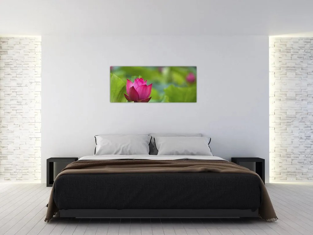 Tablou - floare de apă (120x50 cm)