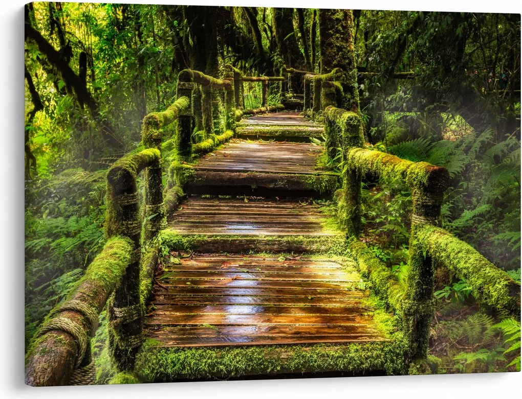 Tablou cu scări într-o pădure tropicală (70x50 cm)