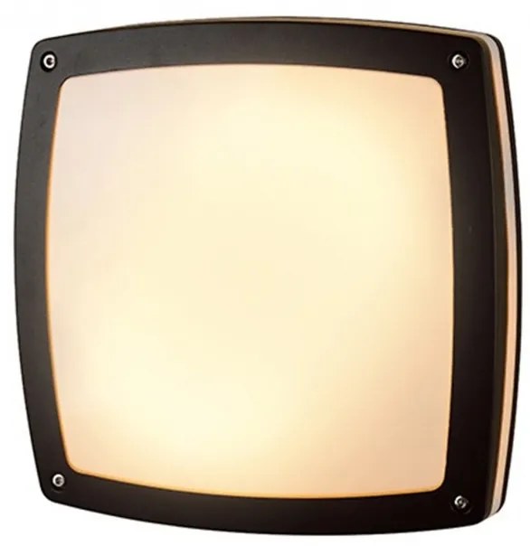 Aplica LED de perete / tavan pentru exterior IP54 FANO S
