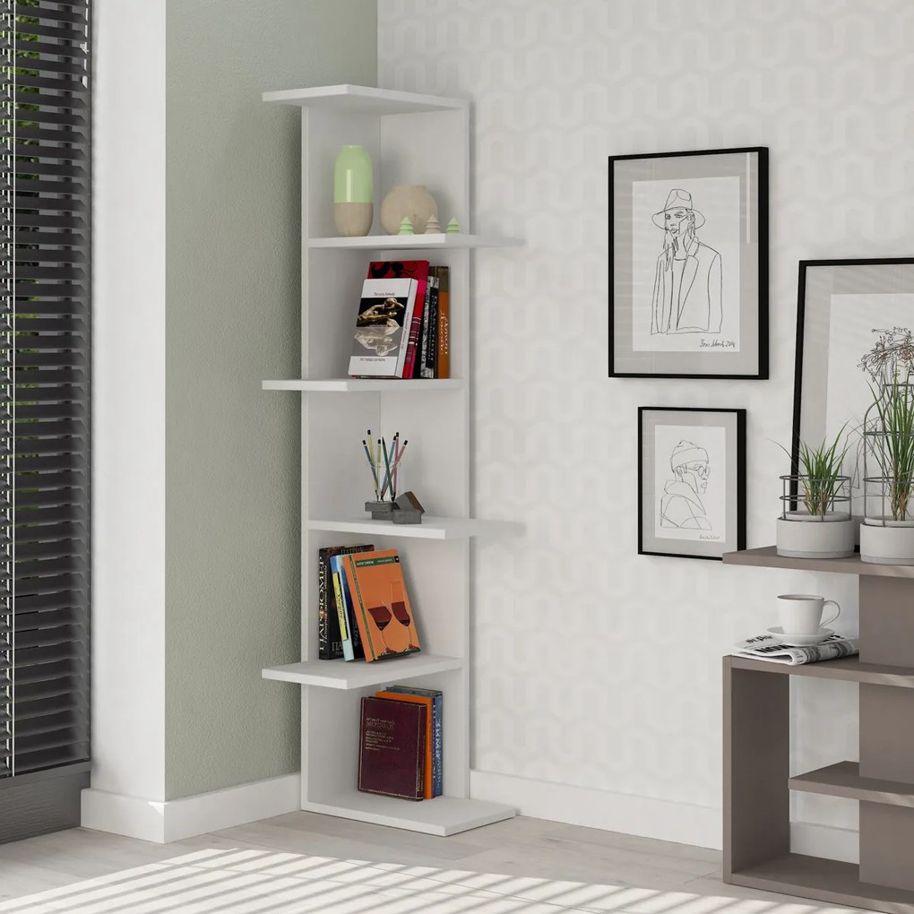 Biblioteca Saso White