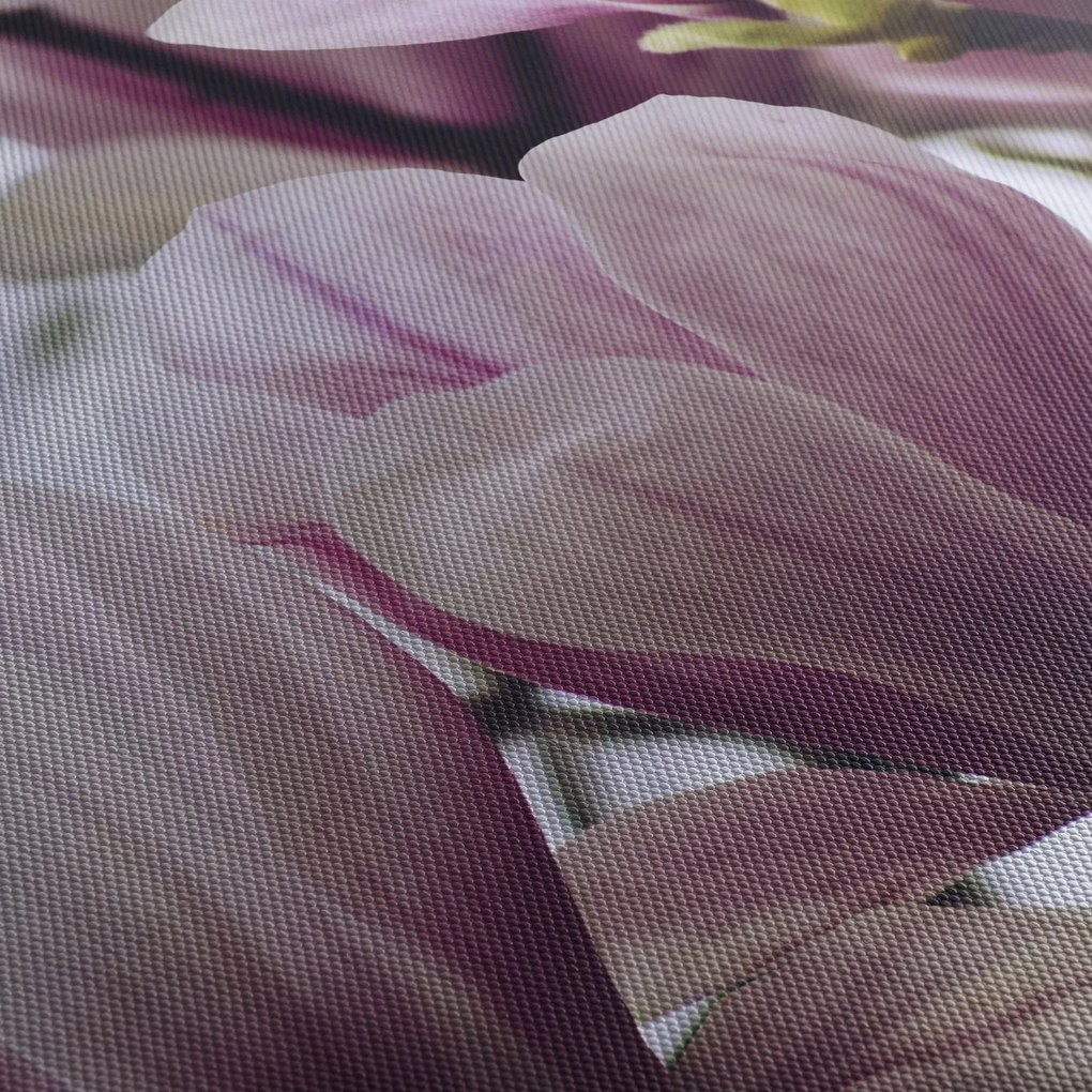 Tablou - Magnolie (cu ceas) (90x30 cm)