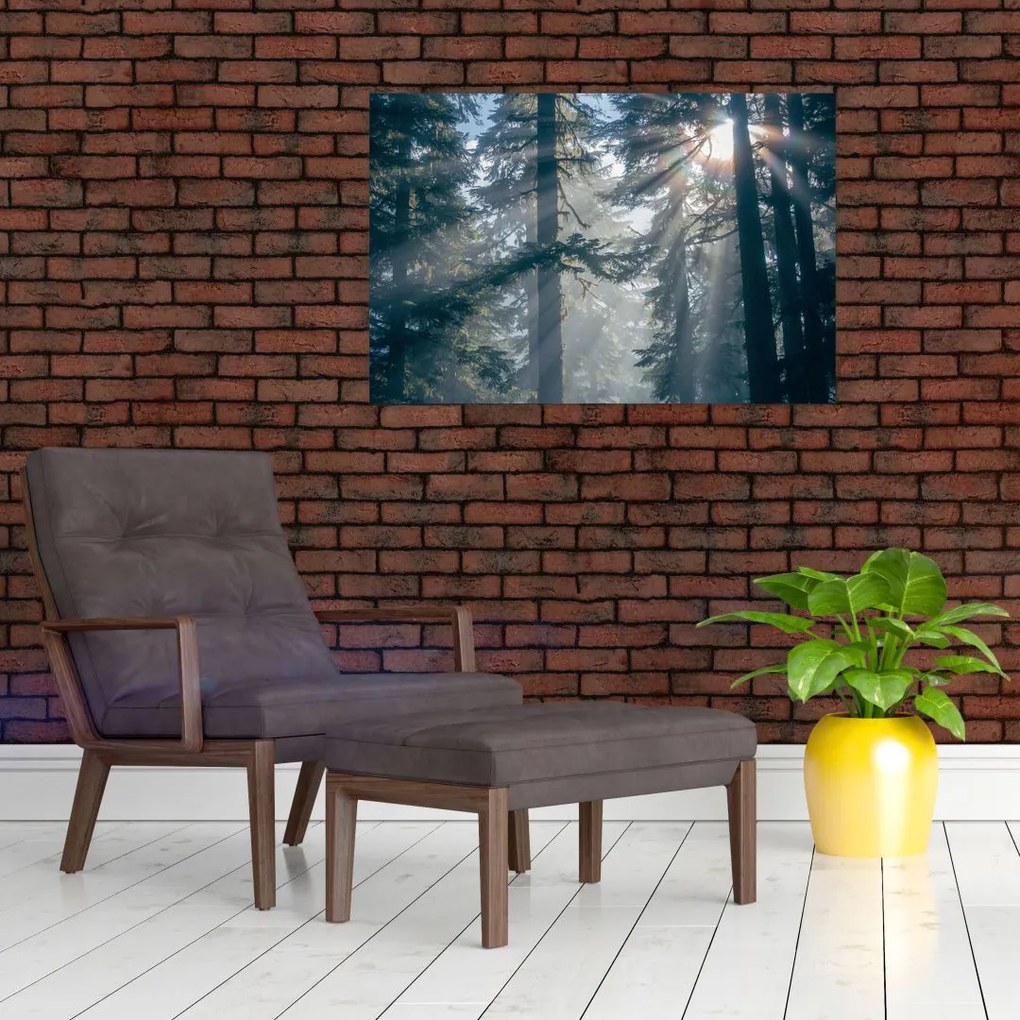 Tablou cu copaci și soarele translucind (90x60 cm)