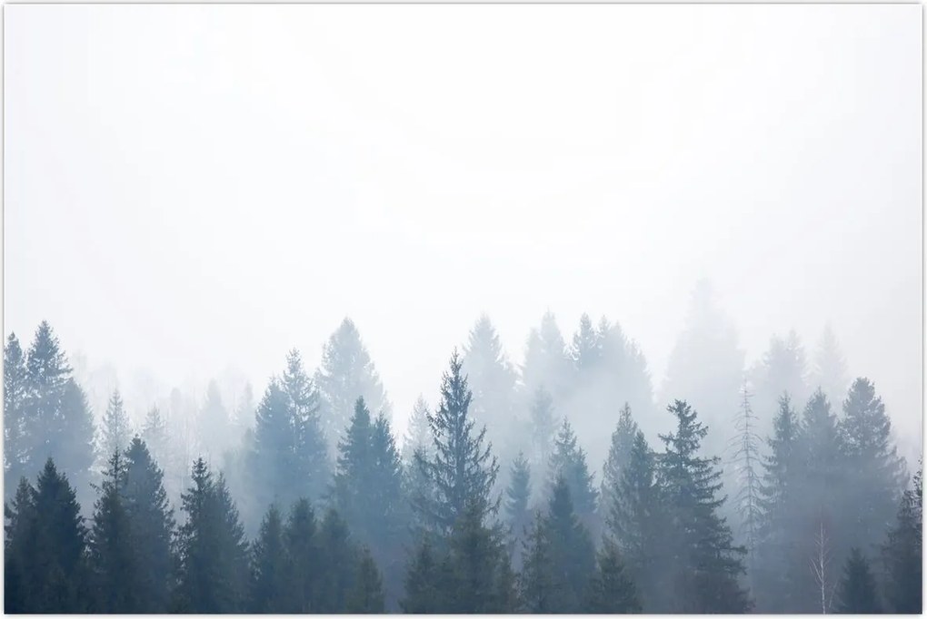 Tablou - Pădure cețoasă (90x60 cm)