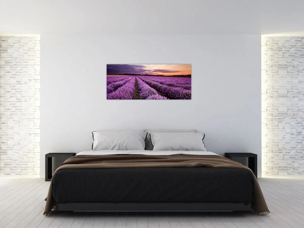 Tablou - Câmp de lavandă la apus de soare (120x50 cm)