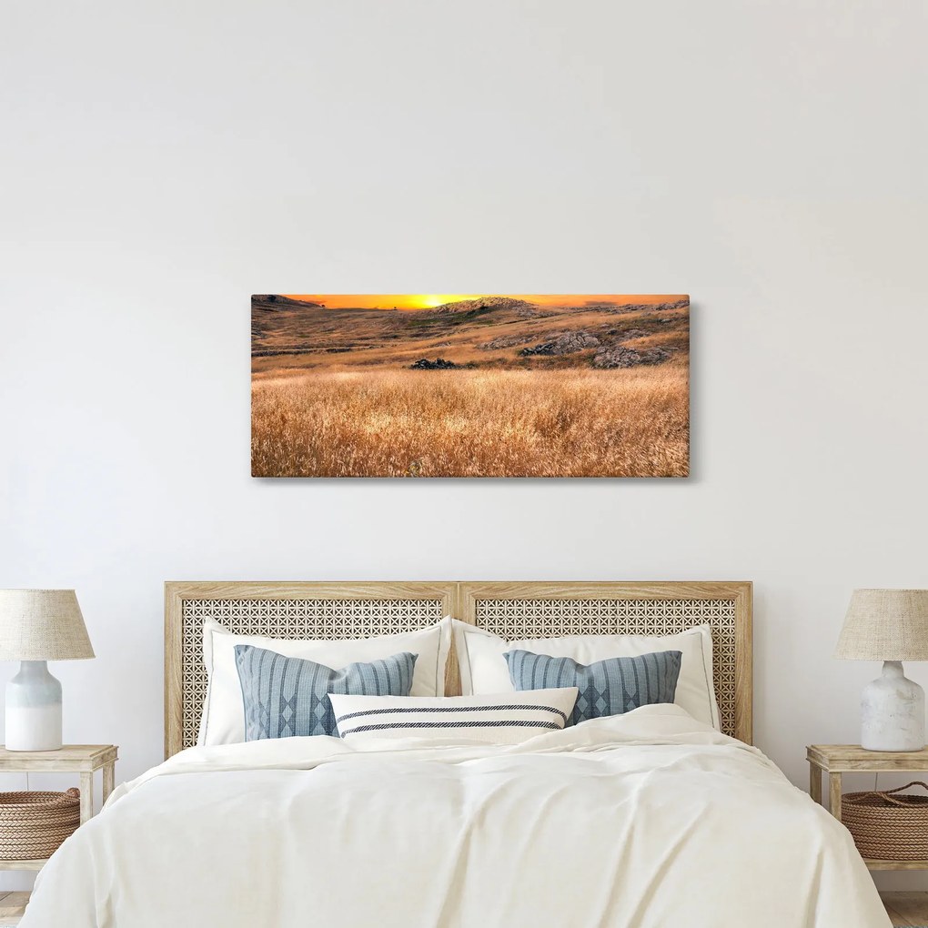Tablou cu câmp (120x50 cm)