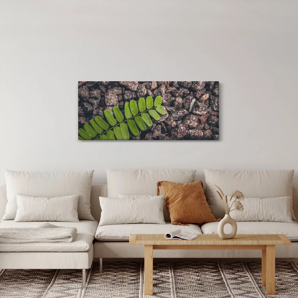 Tablou cu planta verde (120x50 cm)