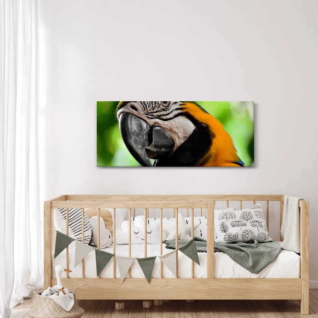 Tablou cu papagal (120x50 cm)