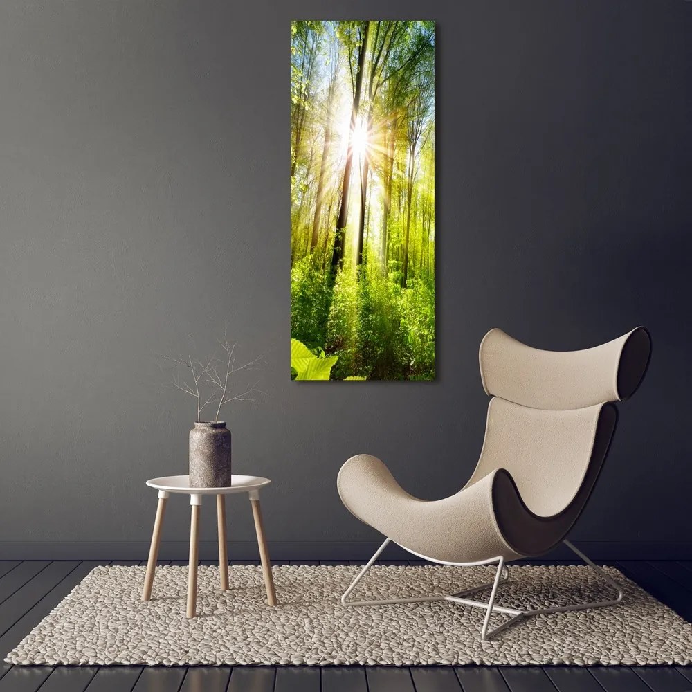 Tablou pe pânză canvas Soare în pădure