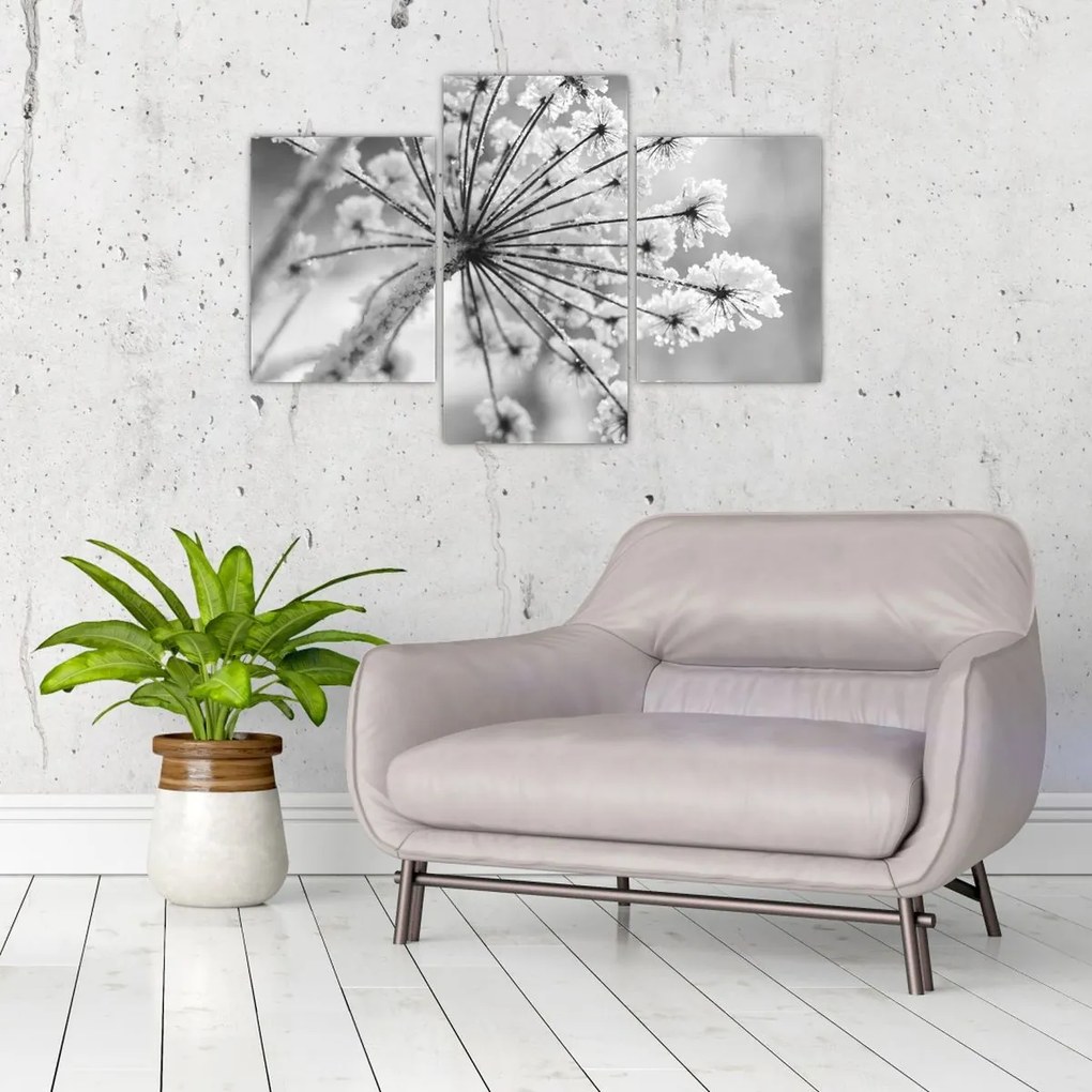 Tablou - Floare în timpul iernii (90x60 cm)