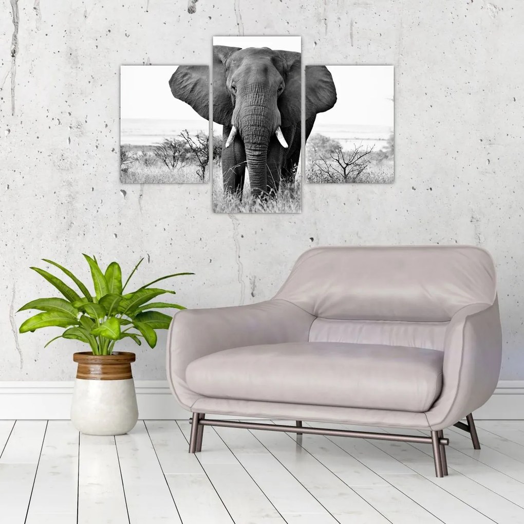 Tablou - Elefantul african II. (90x60 cm)