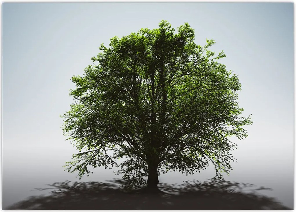 Tablou - Copacul singuratic (70x50 cm)