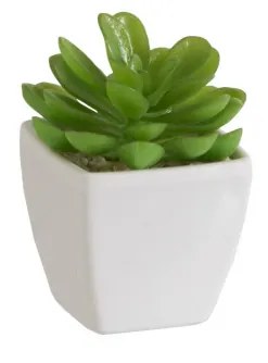 Planta, Material sintetic, Verde, 5.5x5.5x9