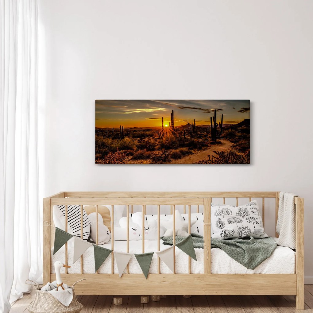 Tablou - Sfărșit de zi în deșertul Arizona (120x50 cm)