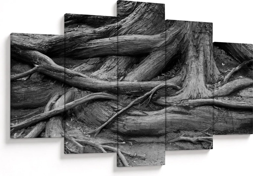 Tablou - Rădăcinile copacului (150x105 cm)