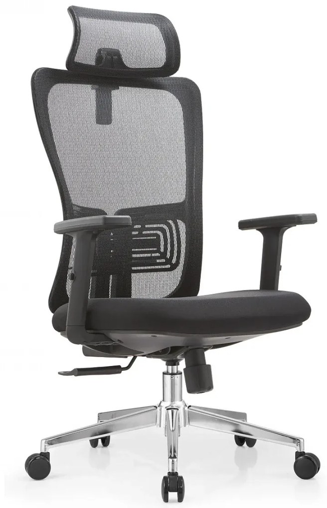 Scaun ergonomic Dana-H, Mesh/Textil, Negru