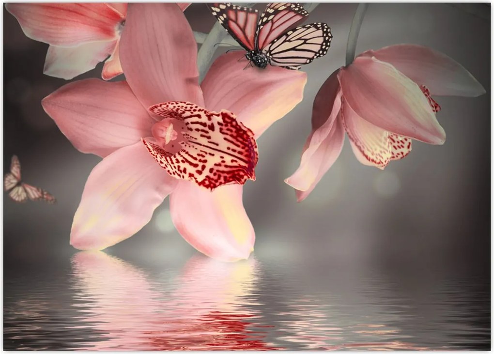 Tablou - Flori și fluture (70x50 cm)