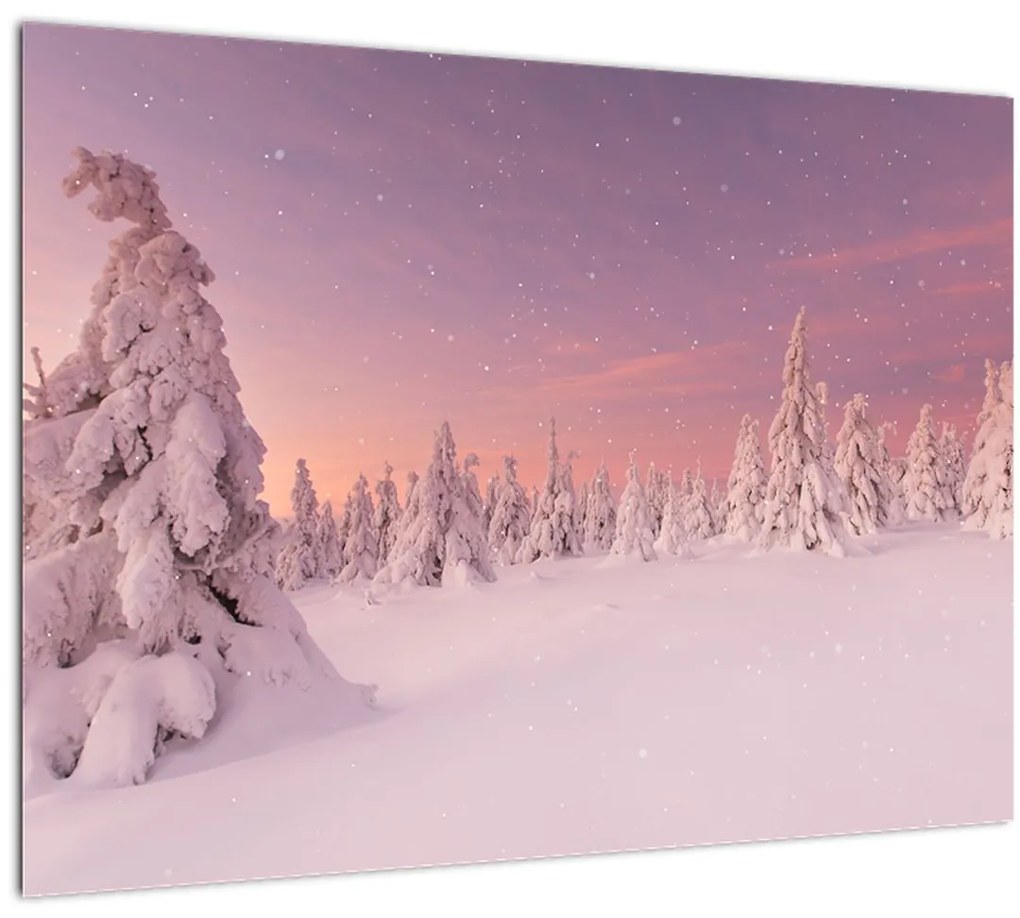 Tablou - Copaci sub așternut de zăpadă (70x50 cm)