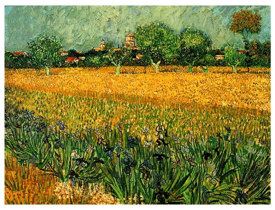 Reproducere pe pânză după Vincent van Gogh - View of arles with irises in the foreground, 40 x 30 cm