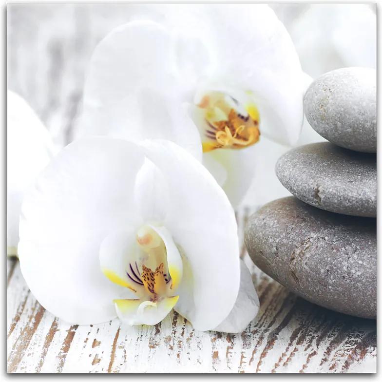 Styler Tablou pe pânză - White orchid 30x30 cm