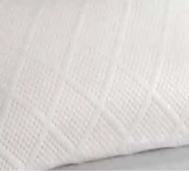 Perna visco, Homs 50 x 70 cm.00200