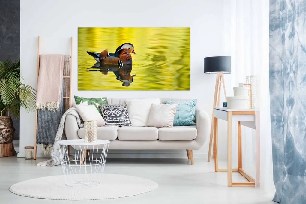 Tablou canvas ratusca - 70x50cm