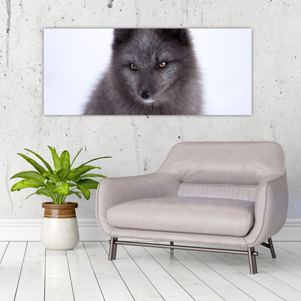 Tablou cu vulpe polară (120x50 cm)