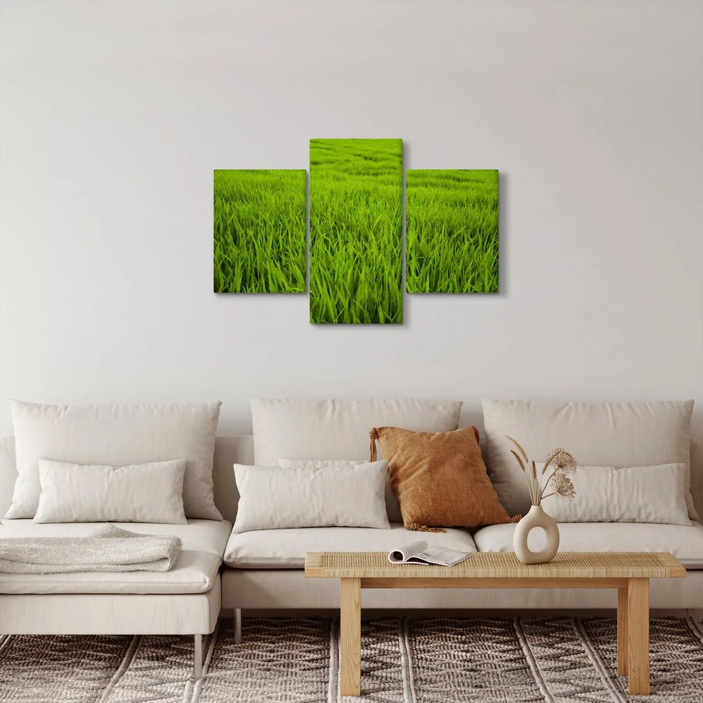 Tablou cu iaraba (90x60 cm)