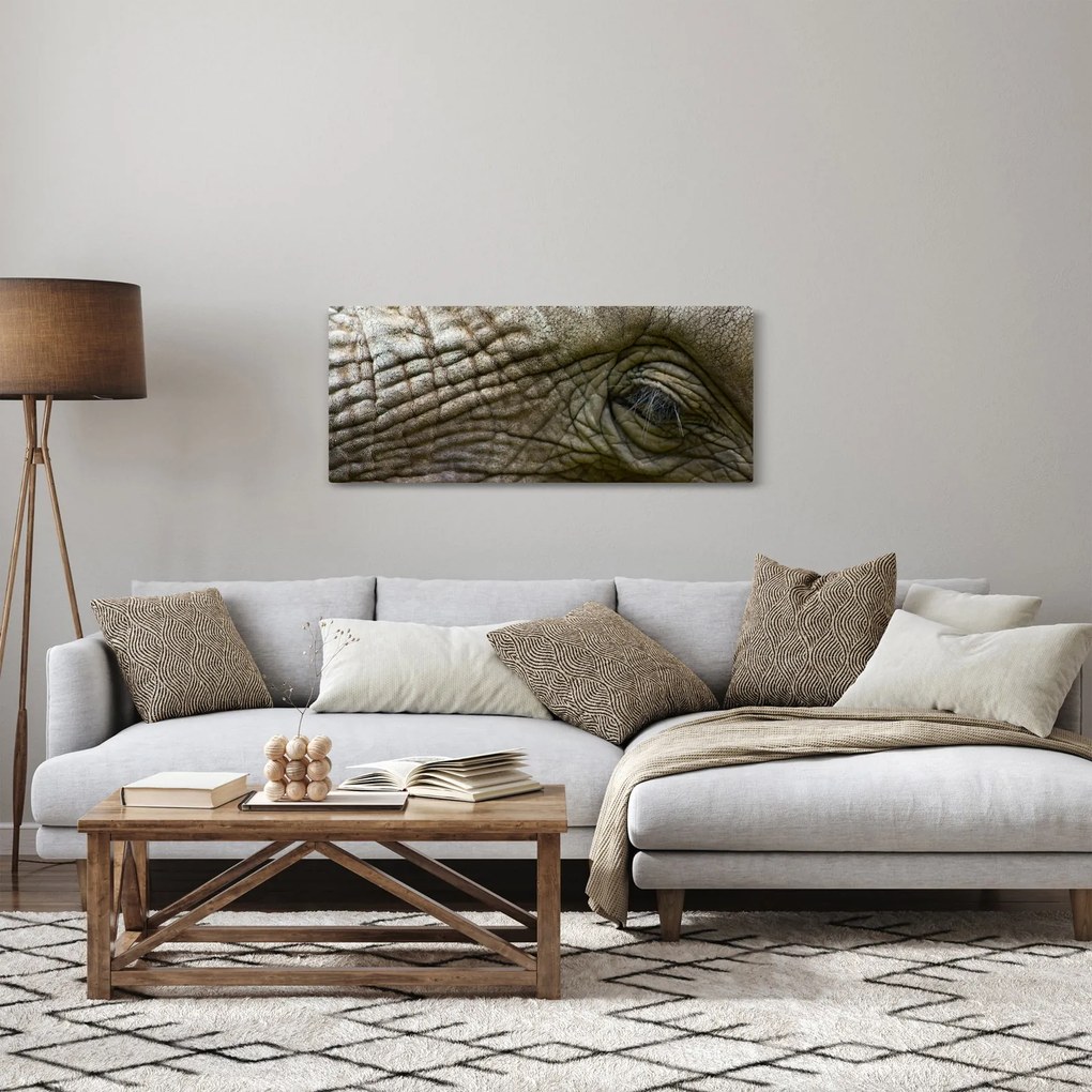 Tablou - Prim-planul ochiului de elefant vechi (120x50 cm)