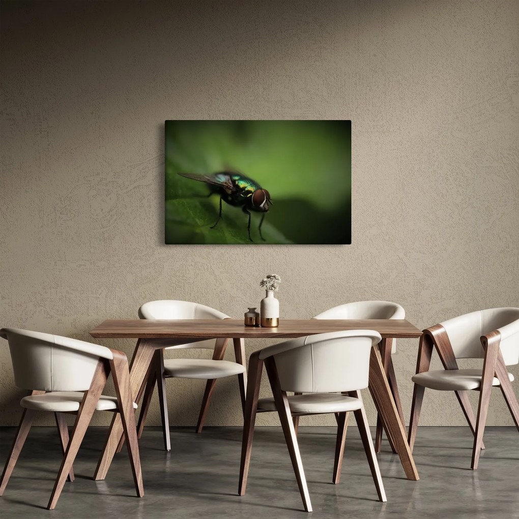 Tablou - Musca (90x60 cm)