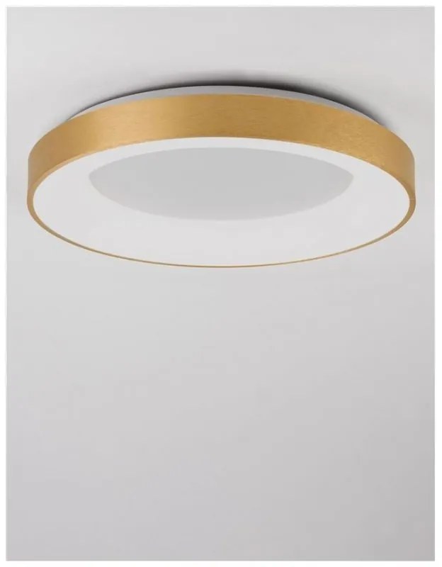 Plafoniera LED 3000K moderna 60cm RANDO THIN auriu NVL-9353854