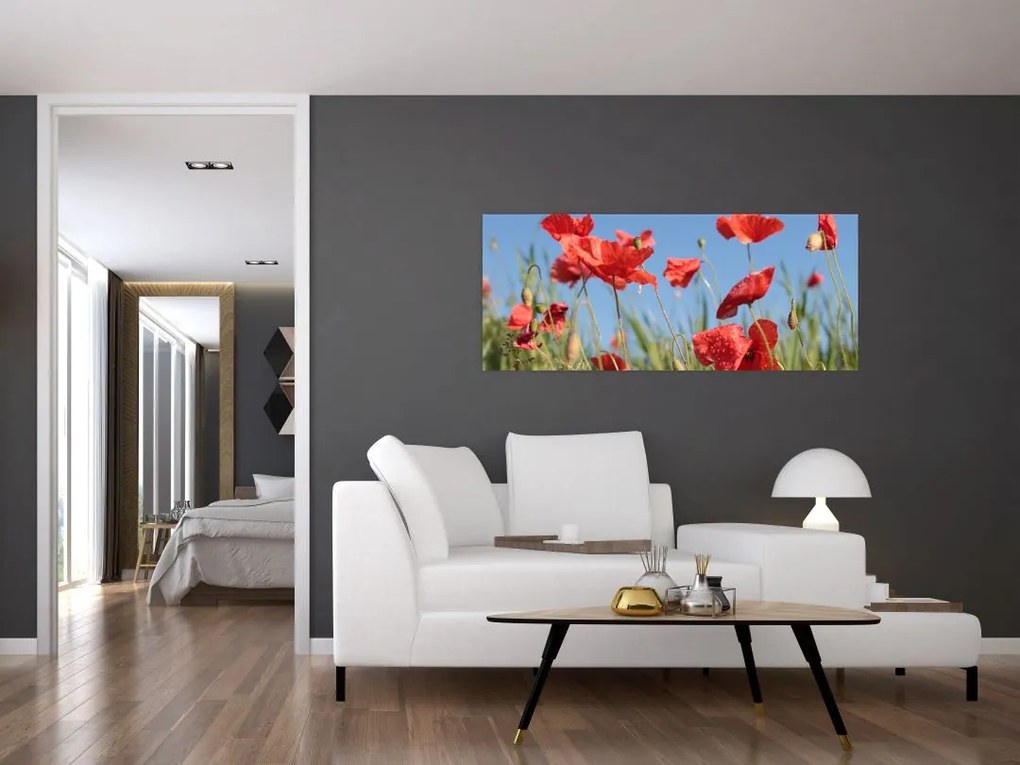 Tablou - Maci (120x50 cm)