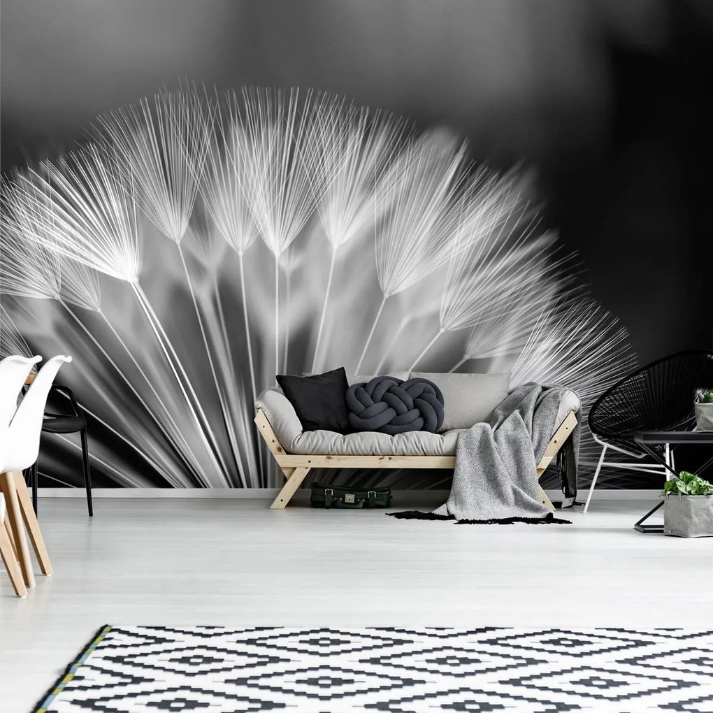 Fototapet - Păpădie (152,5x104 cm)